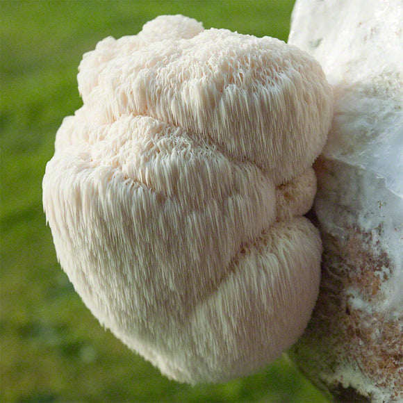 Feature product image